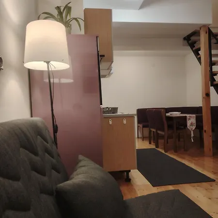 Apartment Lenka Sokobanja