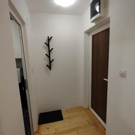 Апартаменты Lenka *