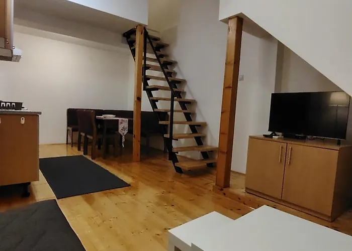 Lenka * 소코 반자