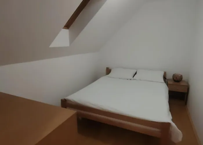 Lenka * 소코 반자