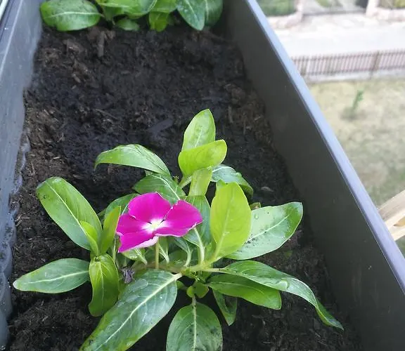 Διαμέρισμα Lenka